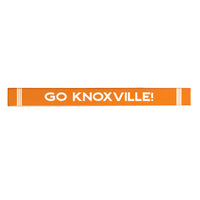 Collegiate Stripe Personalized Skinny Sign