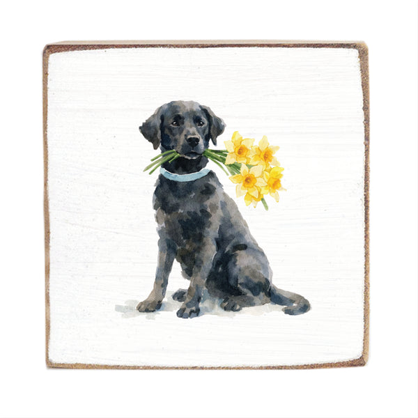 B2W-AGW.jpg