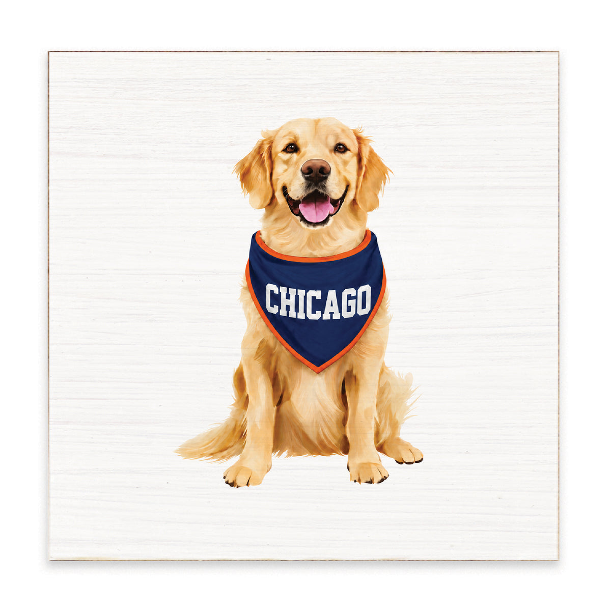 Chicago Football Dog Block Sign