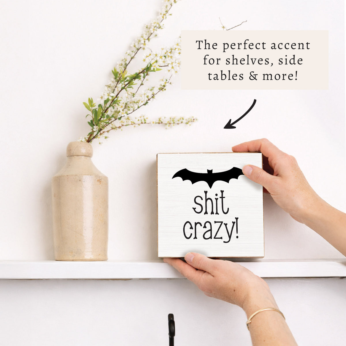 Bat Shit Crazy Block Sign