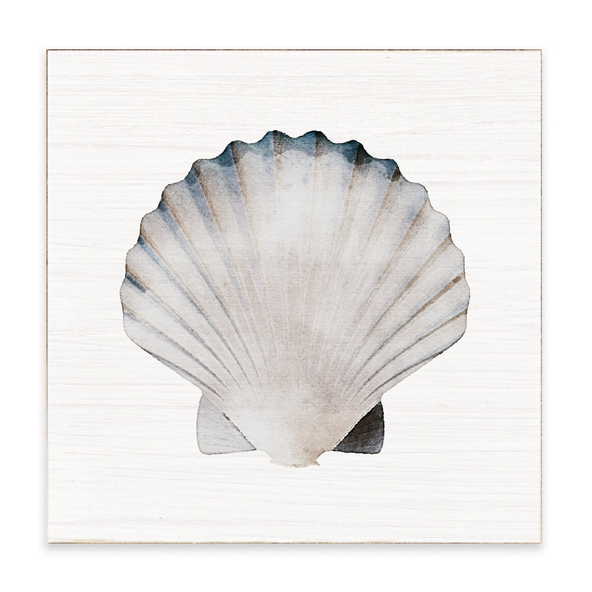Watercolor Shell Rustic Marlin Block Sign