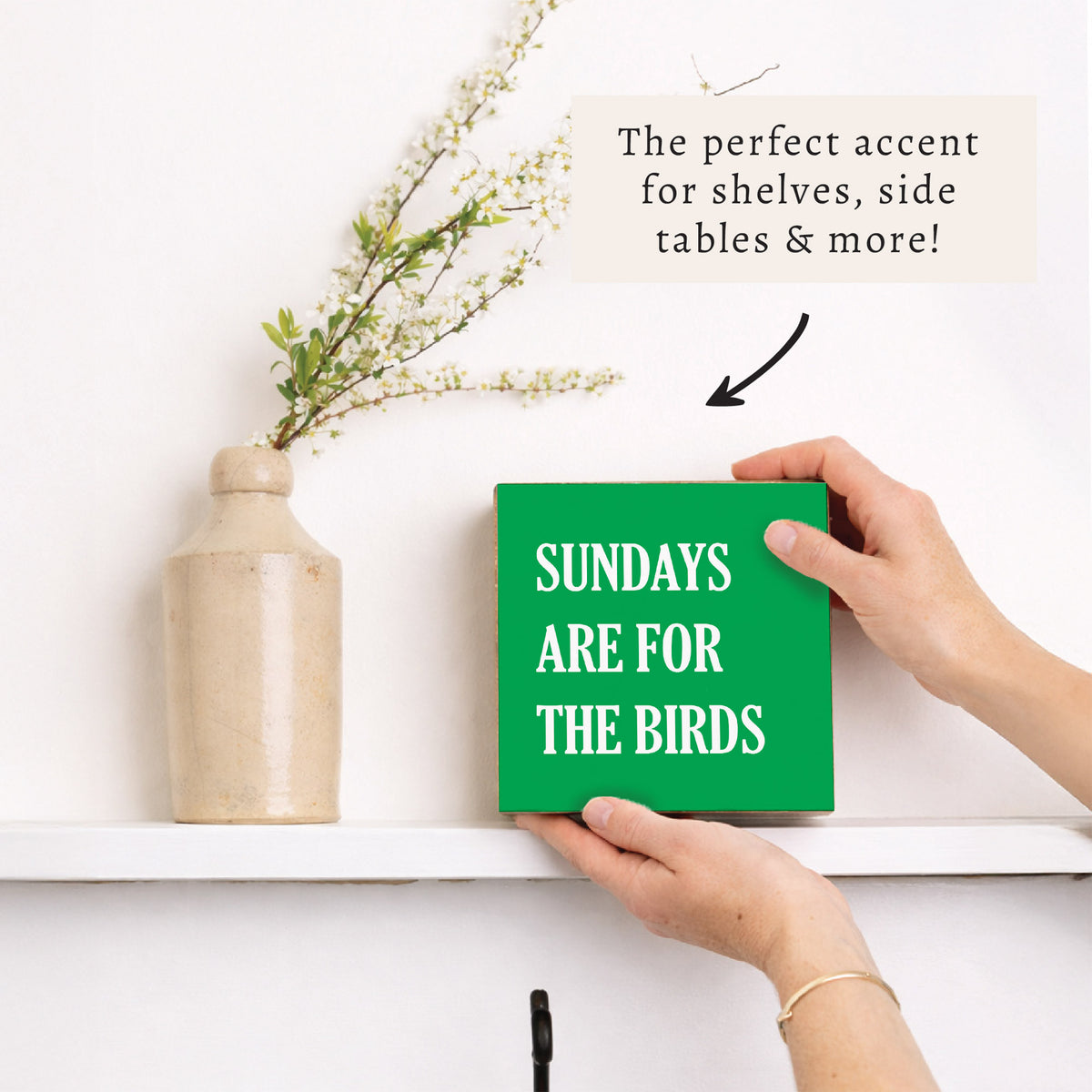 Philly Sundays Are For The Birds Block Sign