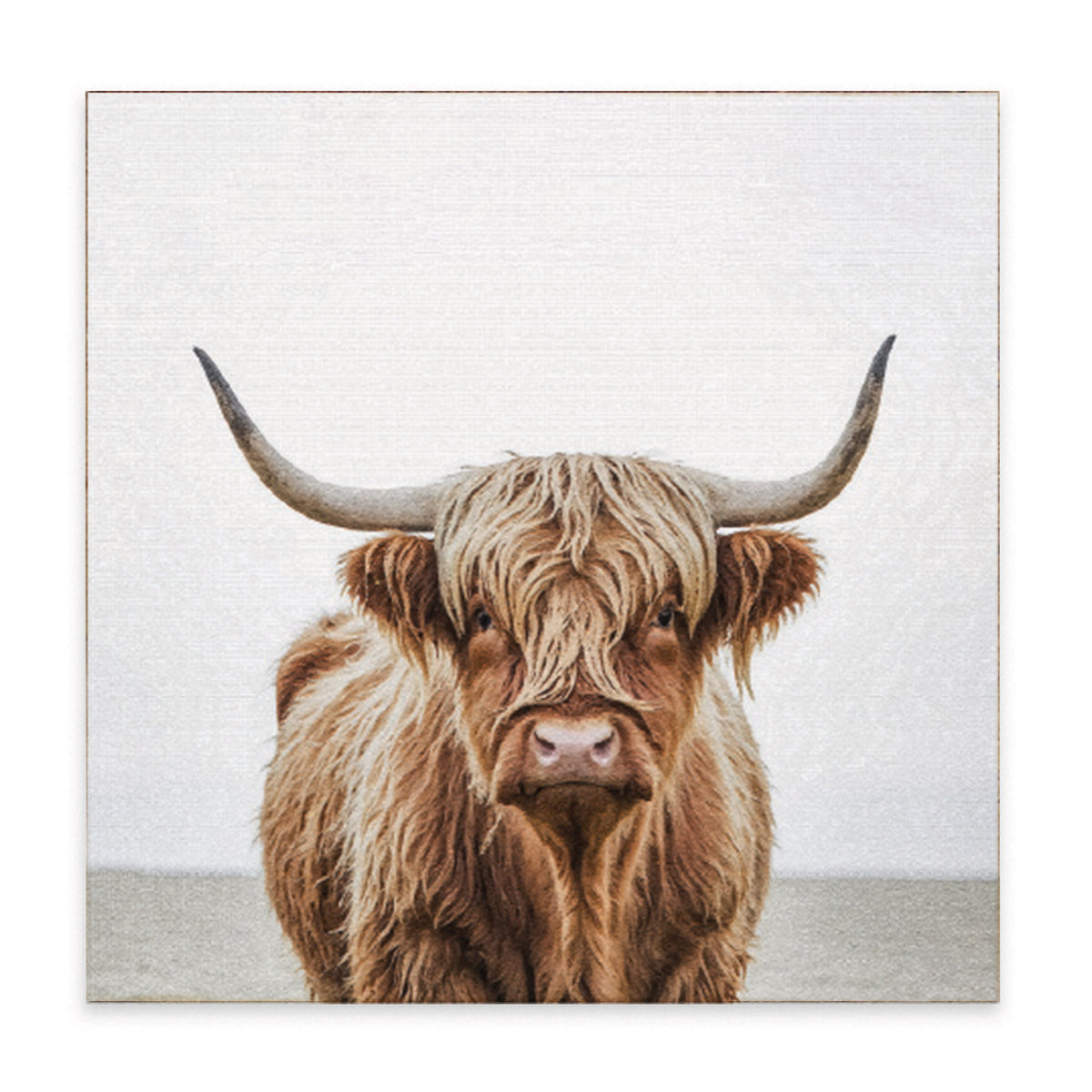 Highland Cow Block Sign