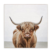 Highland Cow Block Sign