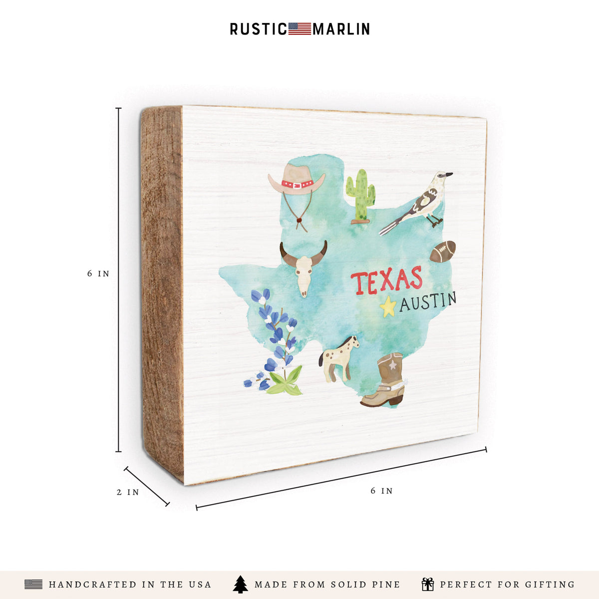 Texas State Icons Block Sign