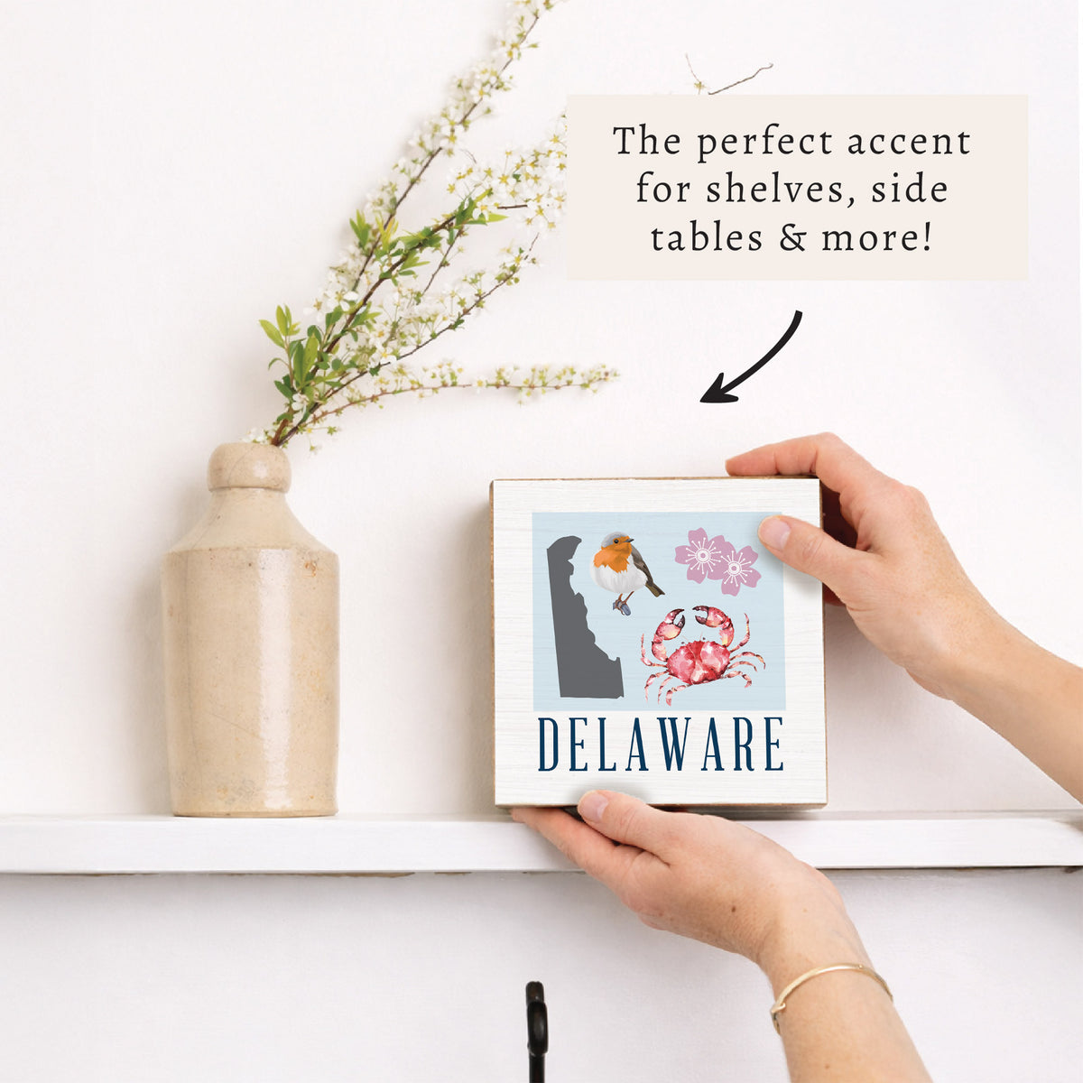 Delaware Icons Block Sign