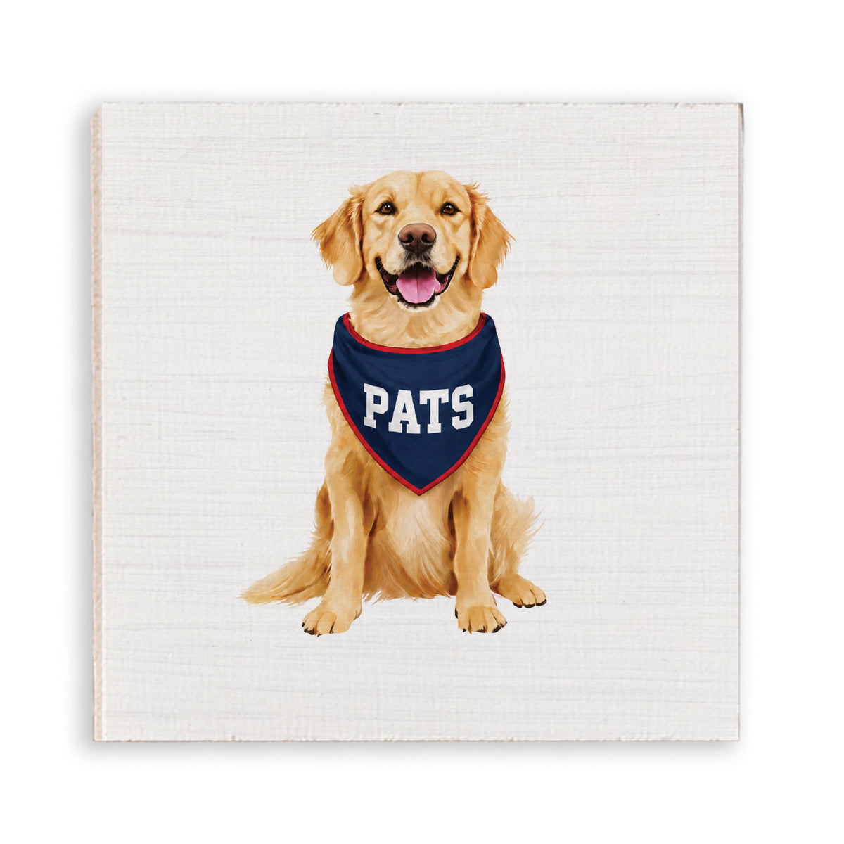 Pats Football Dog Magnet