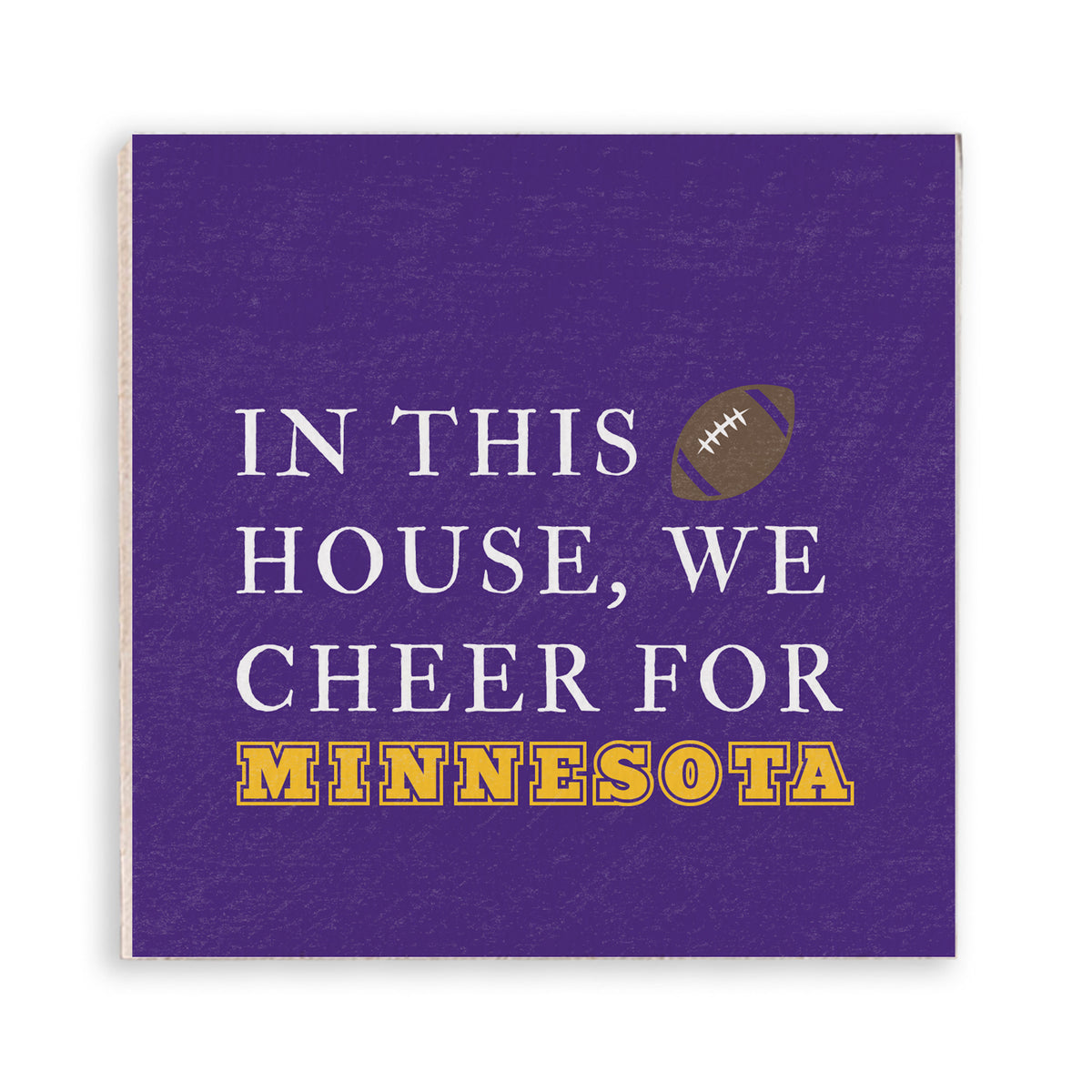 In This House We Cheer For Minnesota Magnet