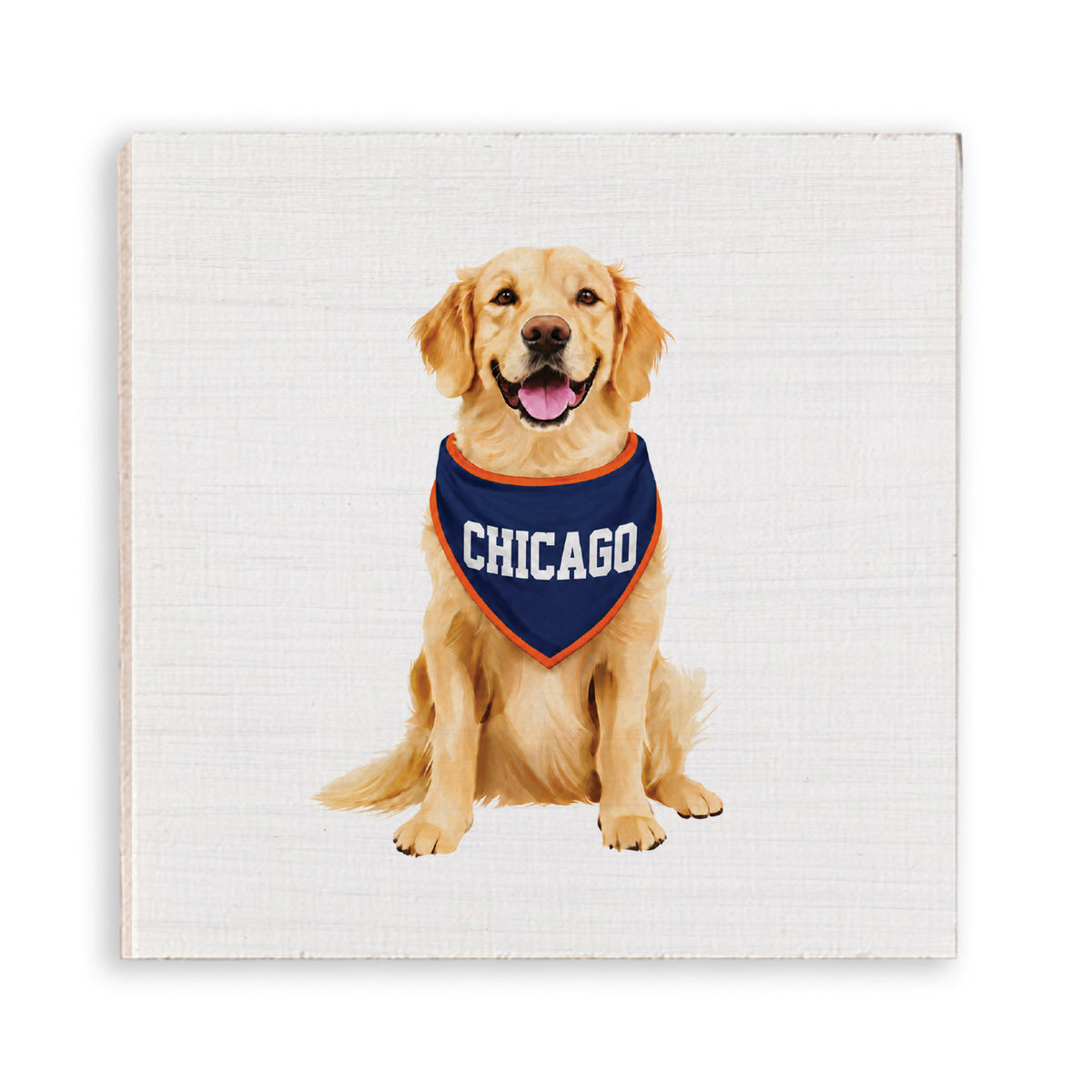 Chicago Football Dog Magnet