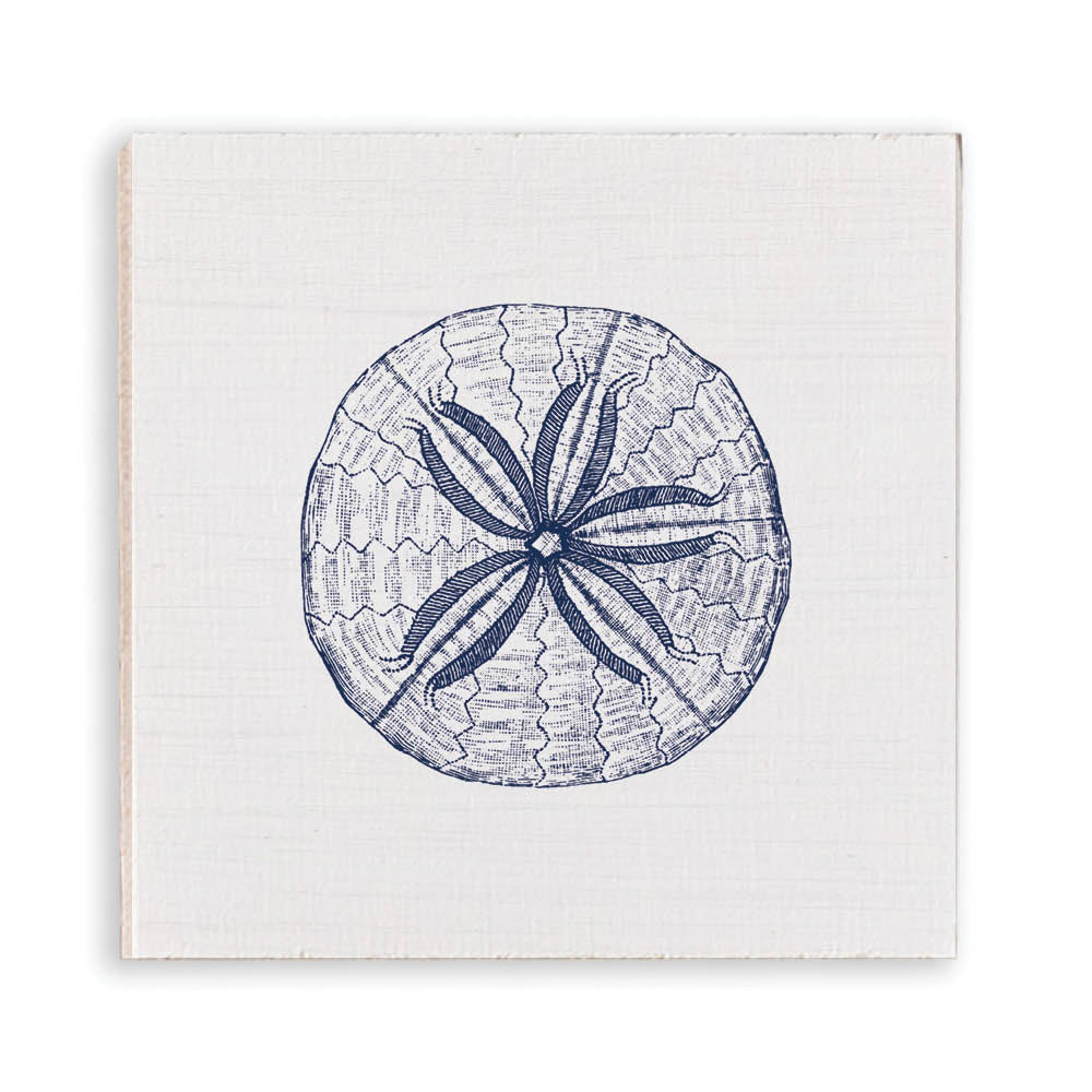Sand Dollar Sketch Magnet