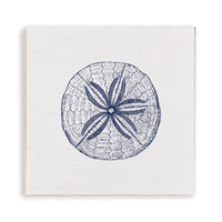 Sand Dollar Sketch Magnet