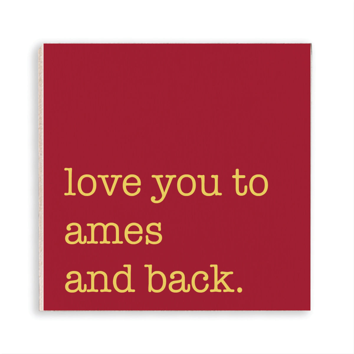 Love To Ames Magnet