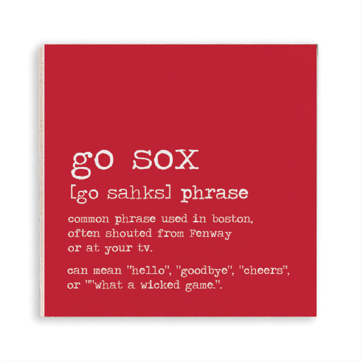 Boston Go Sox Definition Magnet