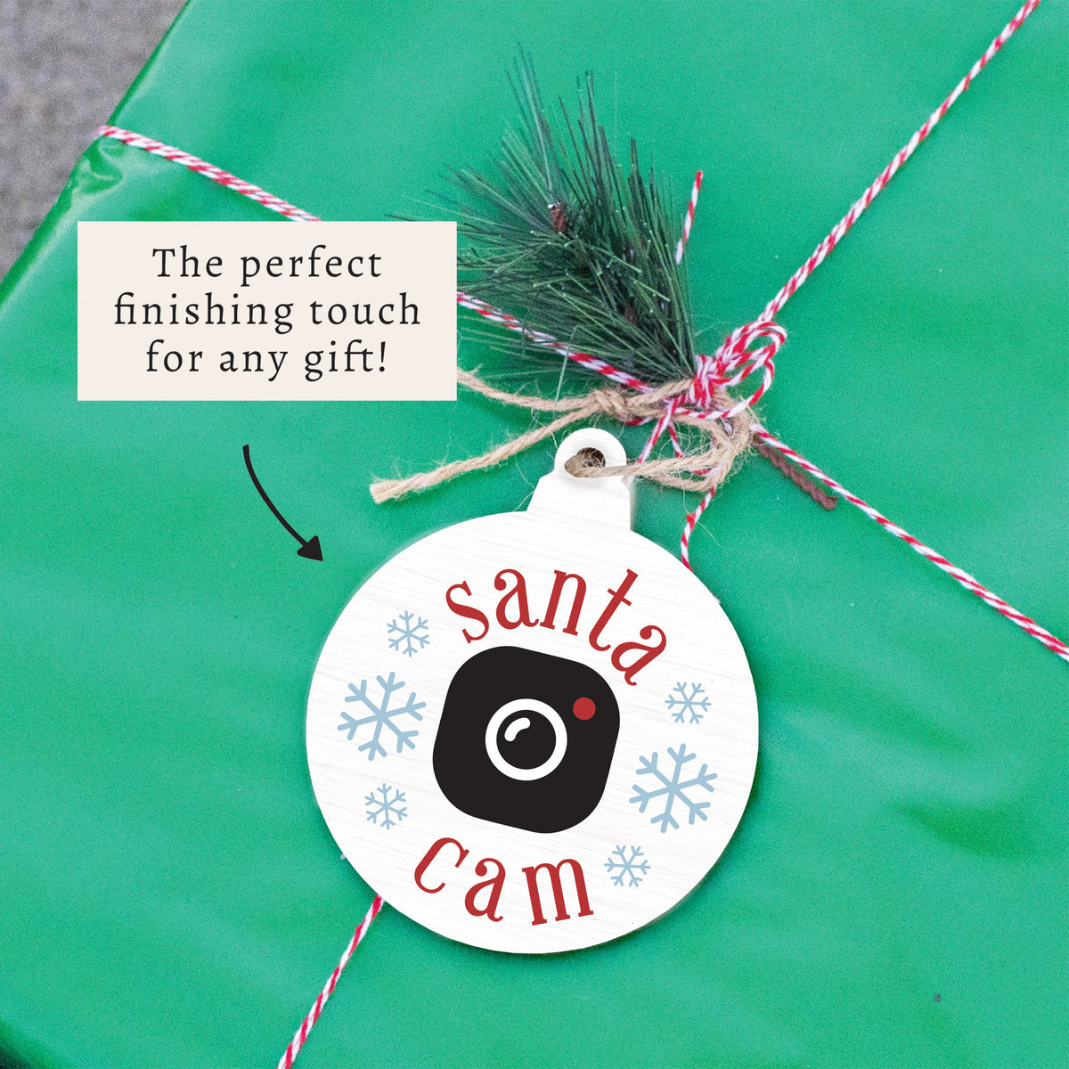 Santa Cam Ornament