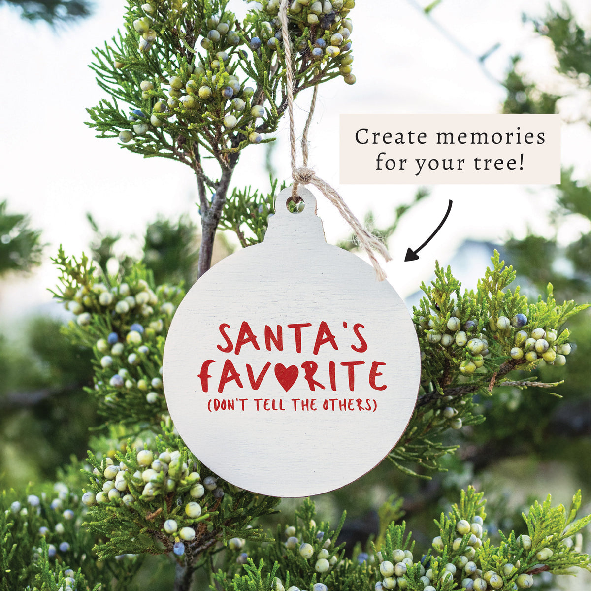 Santa's Favorite Ornament