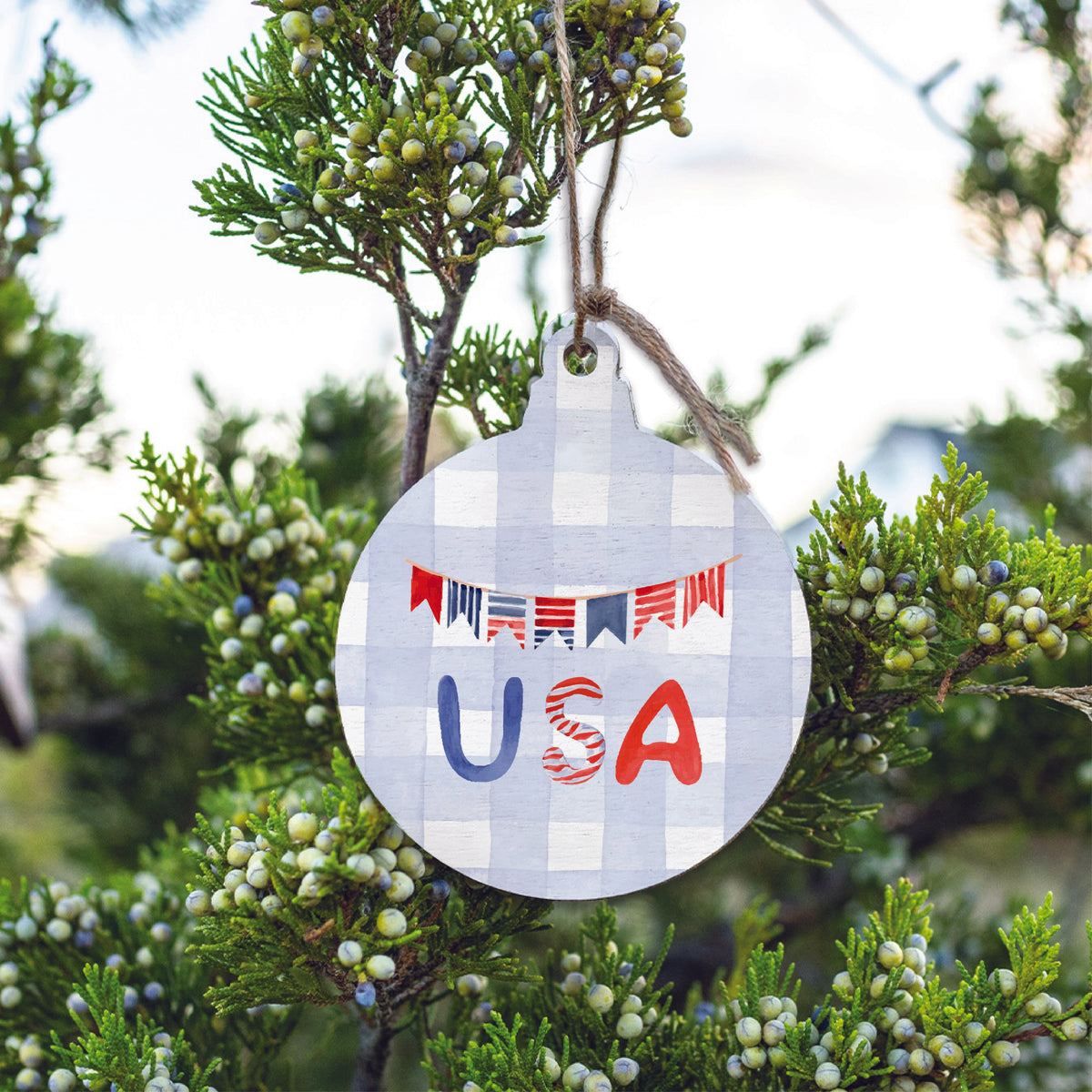 USA Circle Wooden Ornament