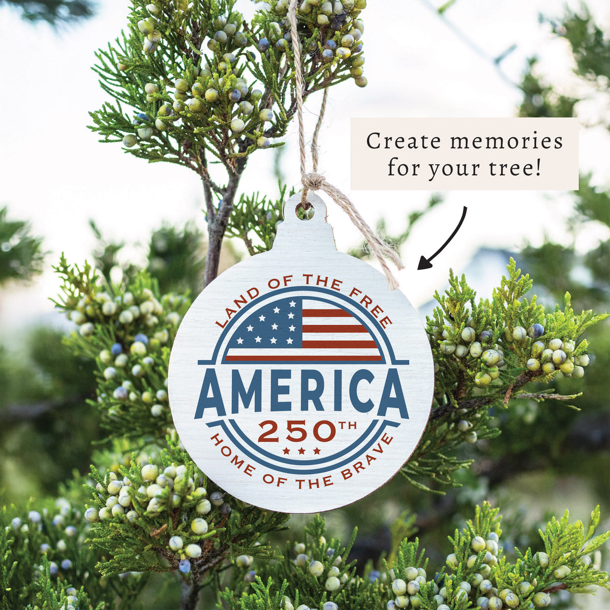America 250 Land of The Free Ornament
