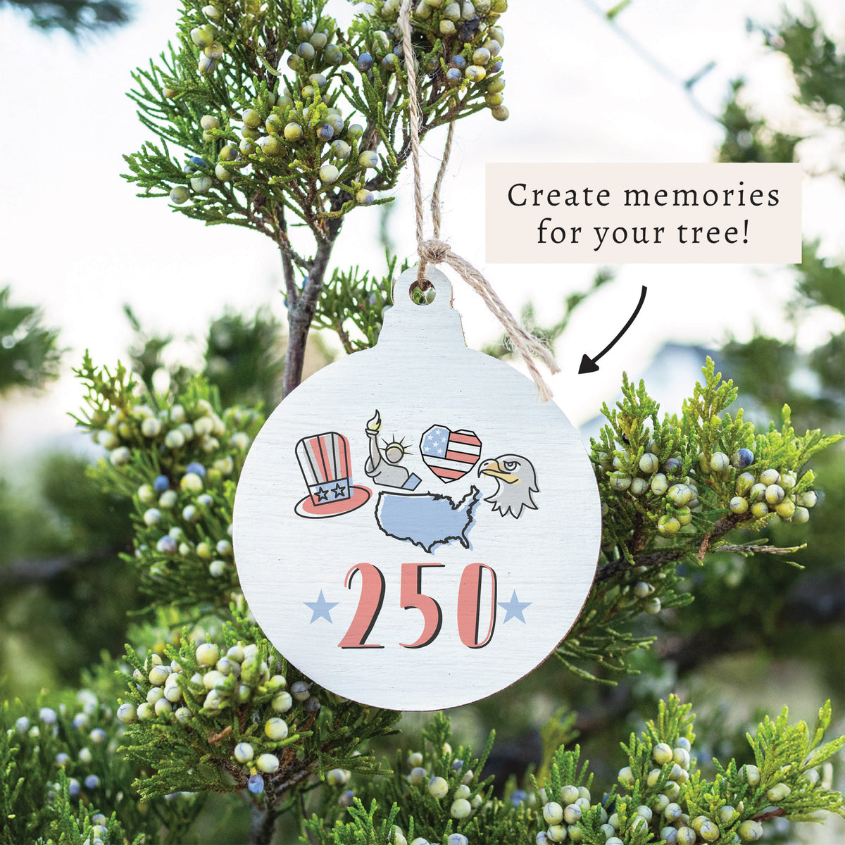 America 250 Icons Ornament