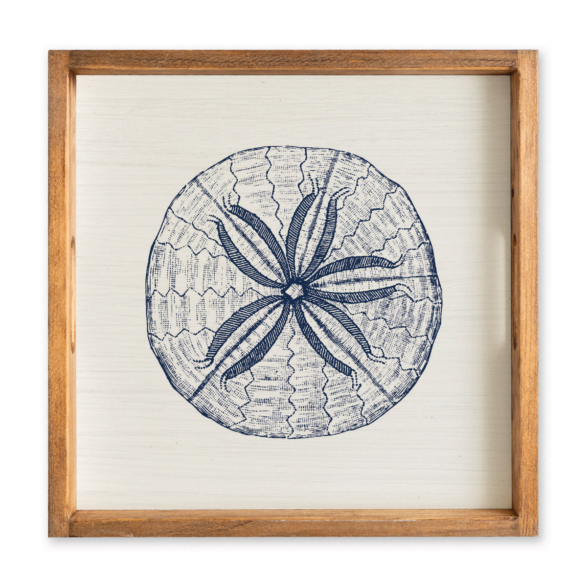 Sand Dollar Sketch Serving Tray