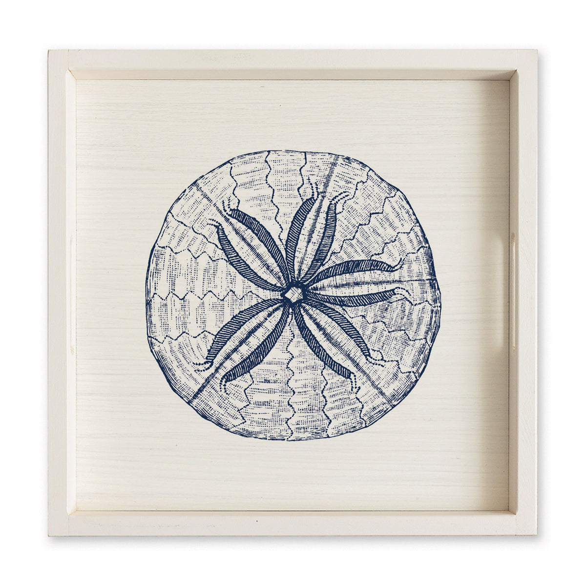 Sand Dollar Sketch Serving Tray