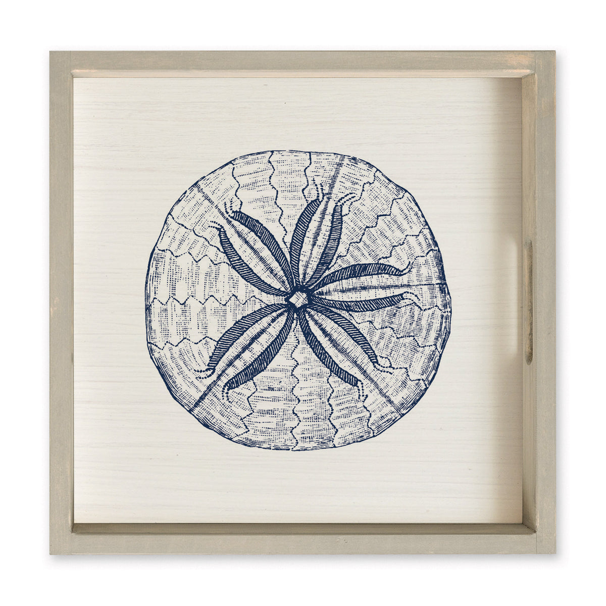 Sand Dollar Sketch Serving Tray