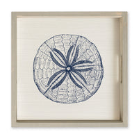 Sand Dollar Sketch Serving Tray